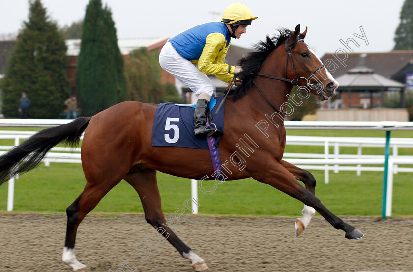 Kybosh-0001 
 KYBOSH (Liam Keniry)
Lingfield 20 Nov 2018 - Pic Steven Cargill / Racingfotos.com