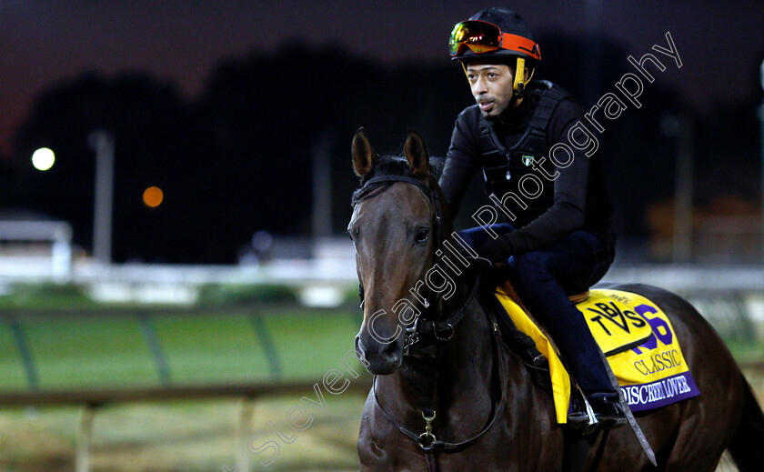 Discreet-Lover-0001 
 DISCREET LOVER (trained by Uriah St Lewis) exercising ahead of The Breeders' Cup Classic
Churchill Downs USA 30 Oct 2018 - Pic Steven Cargill / Racingfotos.com