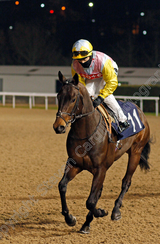 Wallem-0002 
 WALLEM (Hayley Turner) winner of The Betway Maiden Stakes
Wolverhampton 18 Jan 2021 - Pic Steven Cargill / Racingfotos.com