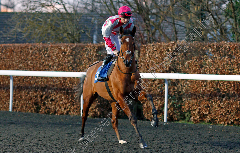 En-Famille-0001 
 EN FAMILLE (Callum Shepherd)
Kempton 29 Jan 2020 - Pic Steven Cargill / Racingfotos.com