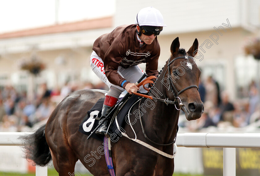 Lord-Lamington-0001 
 LORD LAMINGTON (Franny Norton)
Chelmsford 30 Aug 2018 - Pic Steven Cargill / Racingfotos.com