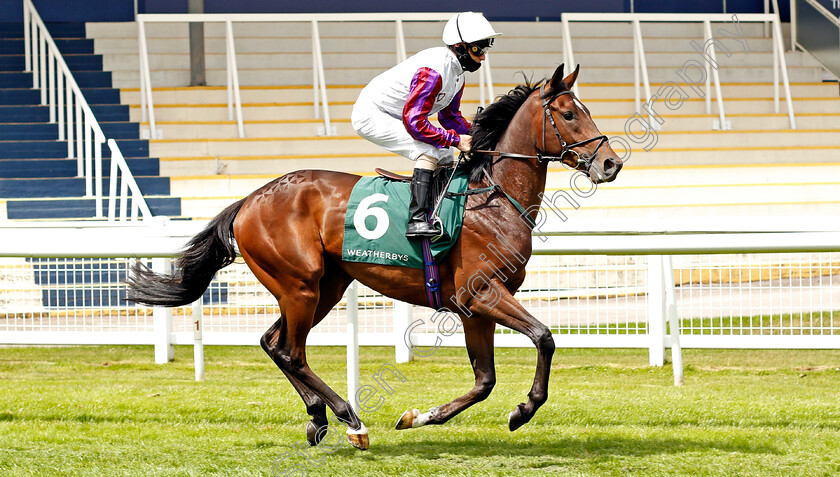 Disco-Beats-0002 
 DISCO BEATS (Joe Fanning)
Newbury 19 Jul 2020 - Pic Steven Cargill / Racingfotos.com