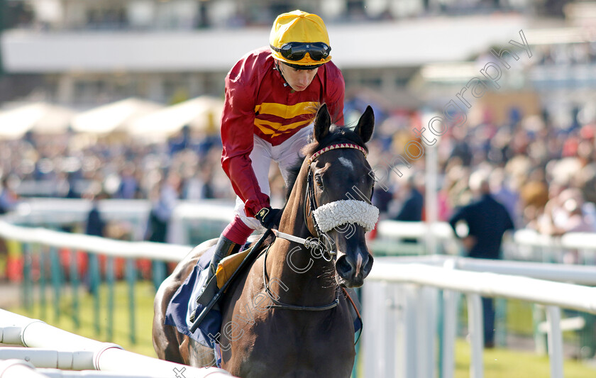 Tropical-Storm-0002 
 TROPICAL STORM (Oisin Murphy)
Doncaster 13 Sep 2024 - Pic Steven Cargill / Racingfotos.com