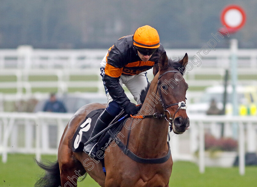 Viyanni-0002 
 VIYANNI (Jonathan Burke)
Ascot 18 Jan 2025 - Pic Steven Cargill / Racingfotos.com