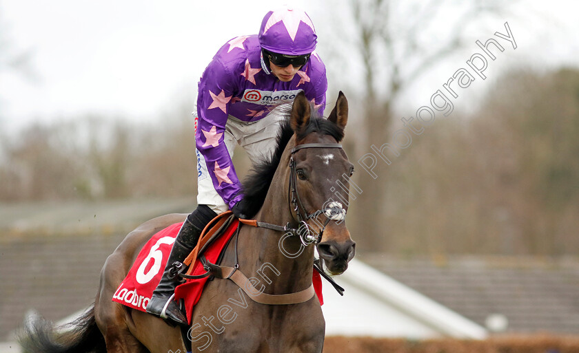 Rubaud-0005 
 RUBAUD (Harry Cobden) winner of The Ladbrokes Pendil Novices Chase
Kempton 22 Feb 2025 - Pic Steven Cargill / Racingfotos.com