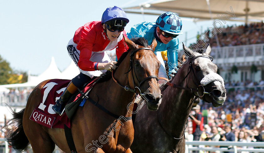 Pilaster-0003 
 PILASTER (left, David Egan) beats MAID UP (right) in The Qatar Lillie Langtry Stakes
Goodwood 2 Aug 2018 - Pic Steven Cargill / Racingfotos.com