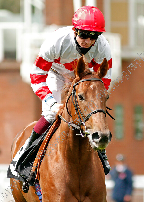 Sammy-Sunshine-0001 
 SAMMY SUNSHINE (Rob Hornby)
Goodwood 30 Aug 2020 - Pic Steven Cargill /Racingfotos.com