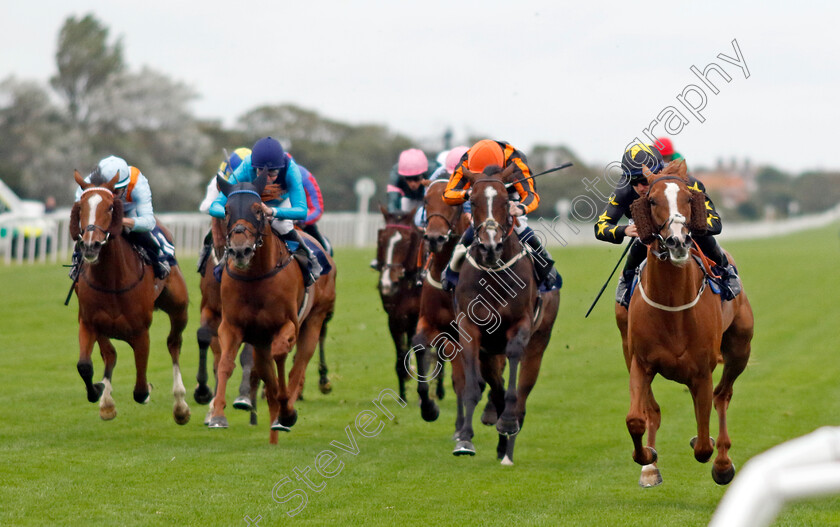 Tarbaan-0006 
 TARBAAN (Kevin Stott) wins The EAAA East Coast Air Ambulance Handicap
Yarmouth 19 Sep 2023 - Pic Steven Cargill / Racingfotos.com