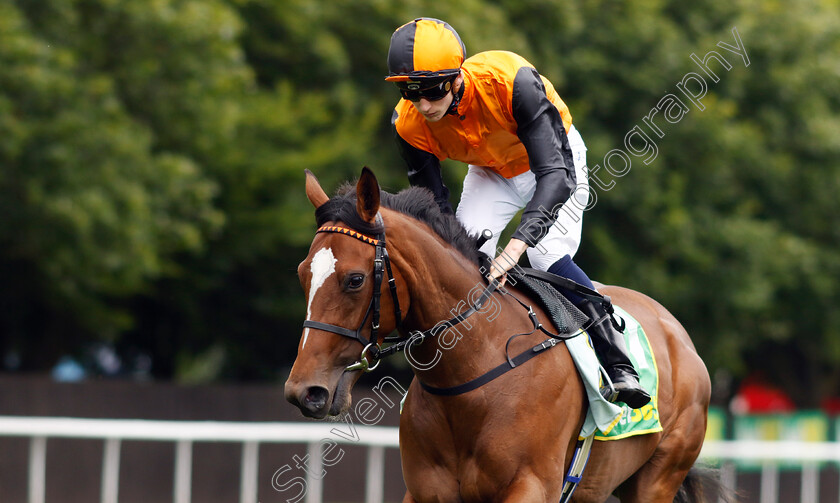 Arabian-Dusk-0010 
 ARABIAN DUSK (Harry Davies) winner of The Duchess Of Cambridge Stakes
Newmarket 12 Jul 2024 - pic Steven Cargill / Racingfotos.com