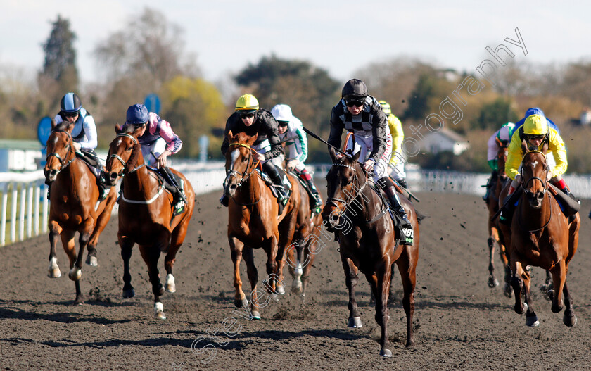 Lavender s-Blue-0003 
 LAVENDER'S BLUE (Robert Havlin) wins The Unibet Snowdrop Fillies Stakes
Kempton 5 Apr 2021 - Pic Steven Cargill / Racingfotos.com