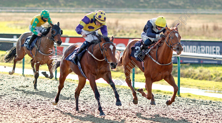 Banoffee-0001 
 BANOFFEE (left, Darragh Keenan) beats COLORANDO (right) in The Play Ladbrokes 5-A-Side On Football Claiming Stakes
Lingfield 29 Jan 2021 - Pic Steven Cargill / Racingfotos.com