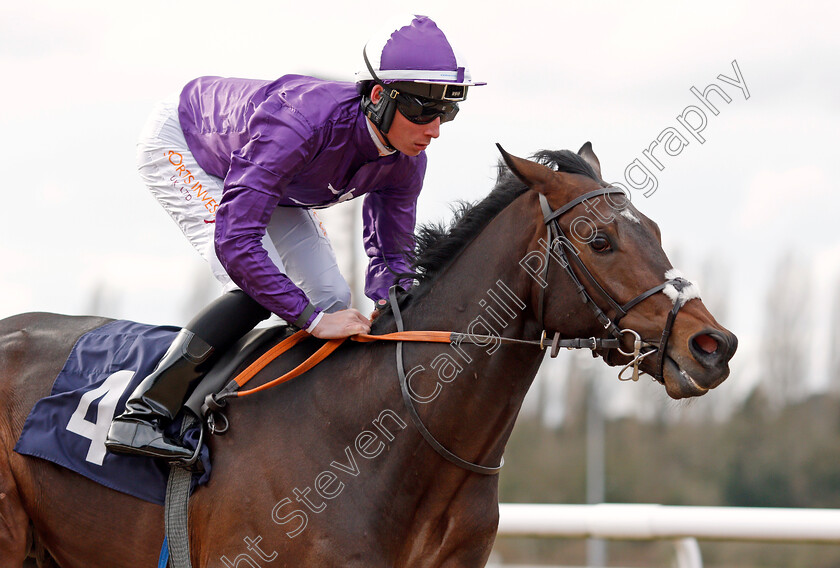 Dayman-0006 
 DAYMAN (Rossa Ryan) wins The Mansionbet Beaten By A Head Novice Stakes
Wolverhampton 12 Mar 2022 - Pic Steven Cargill / Racingfotos.com