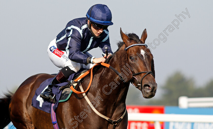 Tagovailoa-0005 
 TAGOVAILOA (Hollie Doyle) wins The Moulton Nurseries of Acle Classified Claiming Stakes
Yarmouth 15 Sep 2020 - Pic Steven Cargill / Racingfotos.com