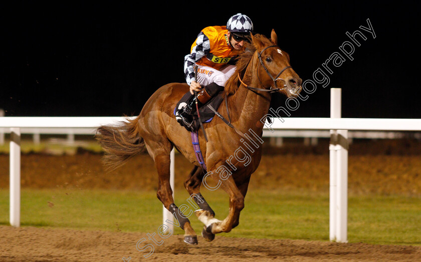 Ceyhan-0003 
 CEYHAN (Dougie Costello) wins The Bet toteWIN At Betfred.com Handicap Div1 Chelmsford 7 Dec 2017 - Pic Steven Cargill / Racingfotos.com