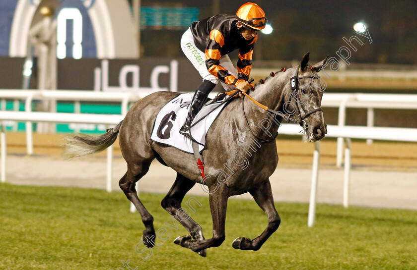 Kennella-0001 
 KENNELLA (Pat Dobbs)
Meydan 3 Feb 2023 - Pic Steven Cargill / Racingfotos.com