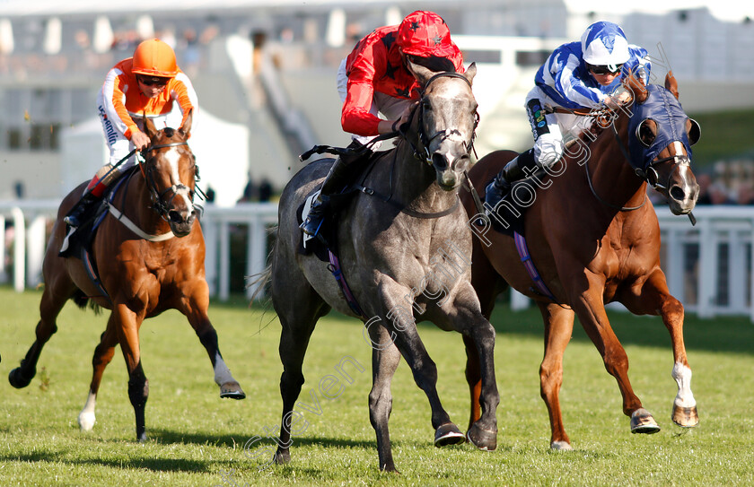 Silver-Quartz-0005 
 SILVER QUARTZ (centre, James Doyle) beats ZWAYYAN (right) in The Weatherbys Handicap
Ascot 7 Sep 2018 - Pic Steven Cargill / Racingfotos.com