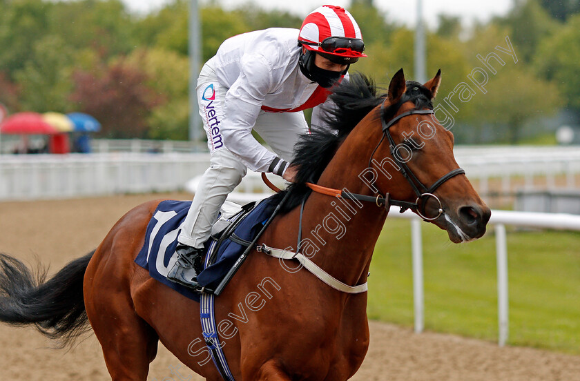 New-Season-0001 
 NEW SEASON (P J McDonald)
Wolverhampton 24 May 2021 - Pic Steven Cargill / Racingfotos.com