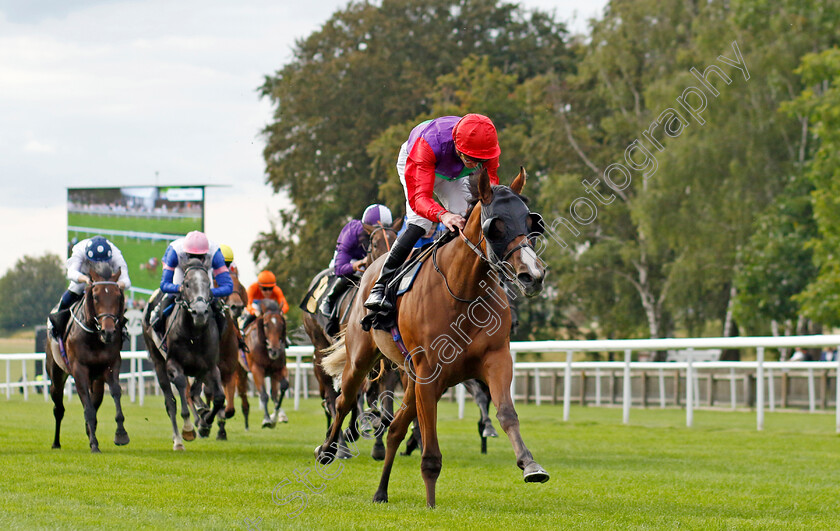 Say-Hello-0004 
 SAY HELLO (James Doyle) wins The Visit racingtv.com Nursery
Newmarket 28 Jul 2023 - Pic Steven Cargill / Racingfotos.com