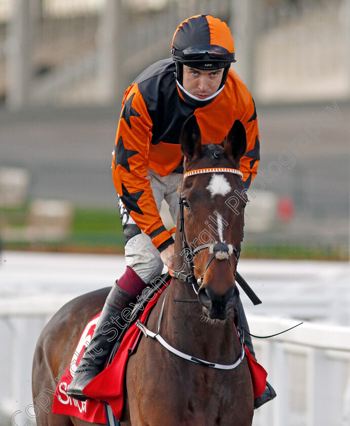 Put-The-Kettle-On-0002 
 PUT THE KETTLE ON (Aidan Coleman) winner of The Shloer Chase
Cheltenham 15 Nov 2020 - Pic Steven Cargill / Racingfotos.com