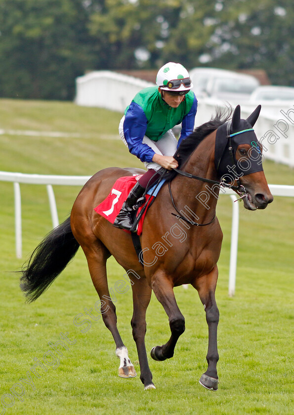 Romanova-0002 
 ROMANOVA (Rob Hornby)
Sandown 27 Jul 2023 - Pic Steven Cargill / Racingfotos.com