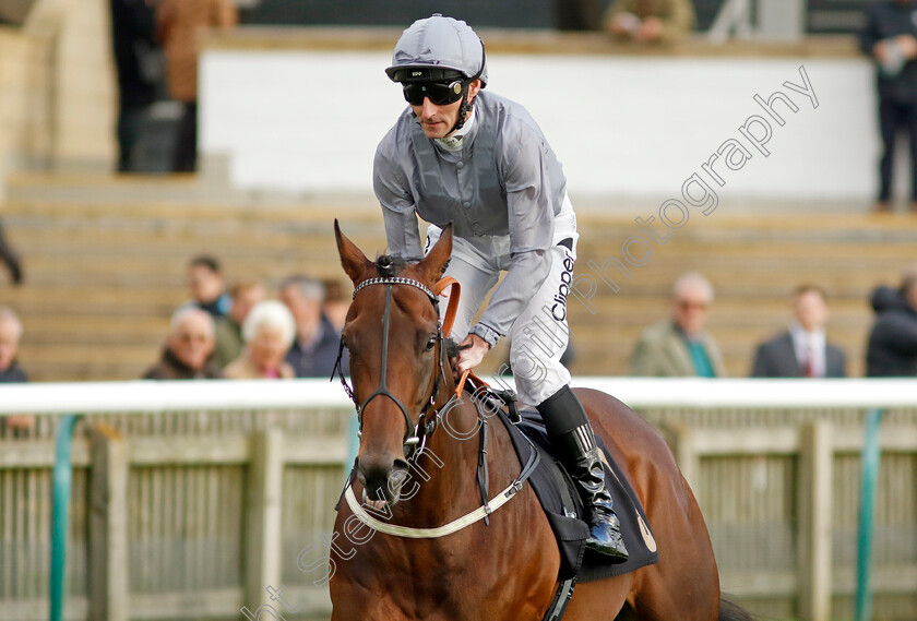 Native-Warrior-0001 
 NATIVE WARRIOR (Daniel Tudhope)
Newmarket 25 Oct 2023 - Pic Steven Cargill / Racingfotos.com