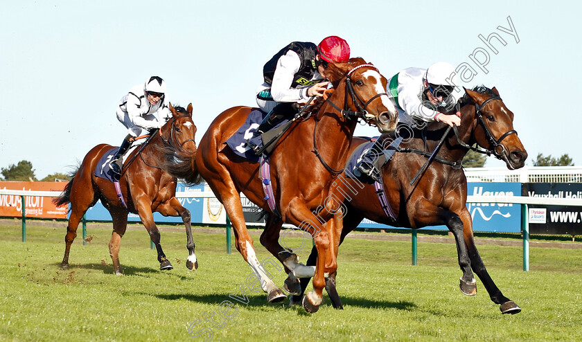 Frankellina-0001 
 FRANKELLINA (left, Harry Bentley) beats OUSSEL FALLS (right) in The British Stallion Studs EBF Fillies Novice Stakes Div1
Yarmouth 23 Oct 2018 - Pic Steven Cargill / Racingfotos.com