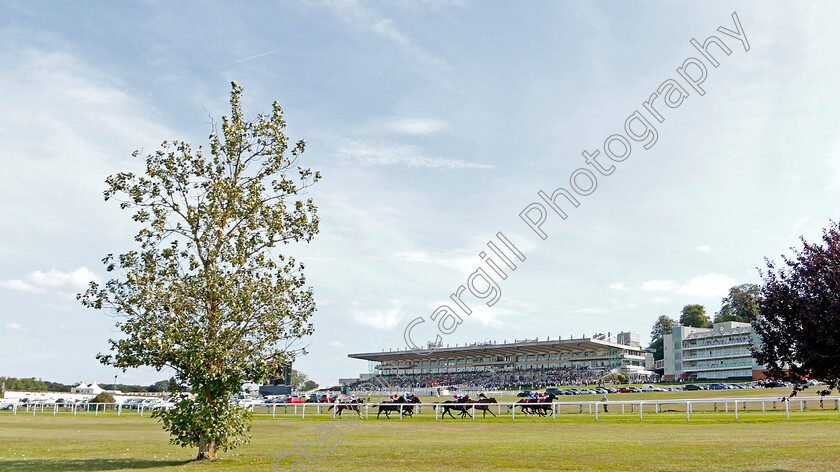 Our-Oystercatcher-0001 
 OUR OYSTERCATCHER (Hector Crouch) wins The Betway Handicap
Sandown 30 Aug 2019 - Pic Steven Cargill / Racingfotos.com