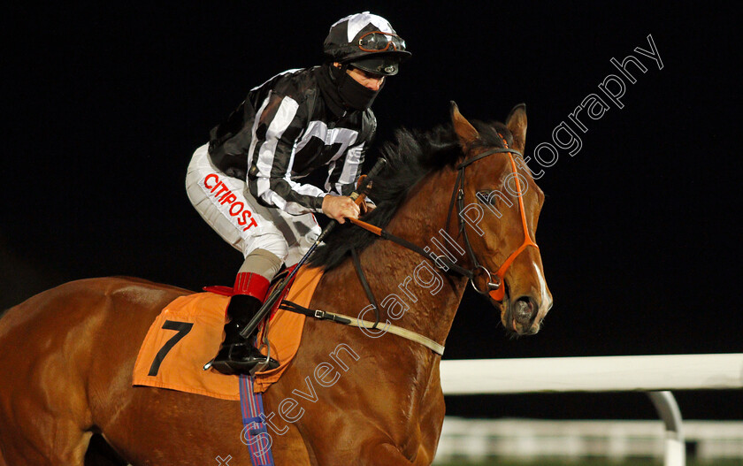 Drury-Lane-0001 
 DRURY LANE (Franny Norton)
Kempton 24 Feb 2021 - Pic Steven Cargill / Racingfotos.com