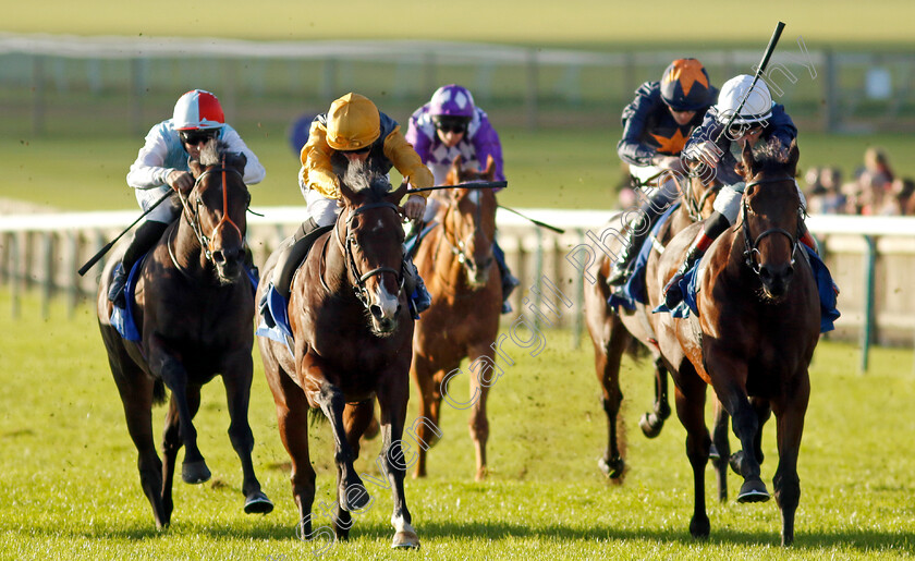 Fair-Angellica-0005 
 FAIR ANGELLICA (right, David Egan) beats WITNESS STAND (left) in The Godolphin Flying Start Nursery
Newmarket 14 Oct 2023 - Pic Steven Cargill / Racingfotos.com