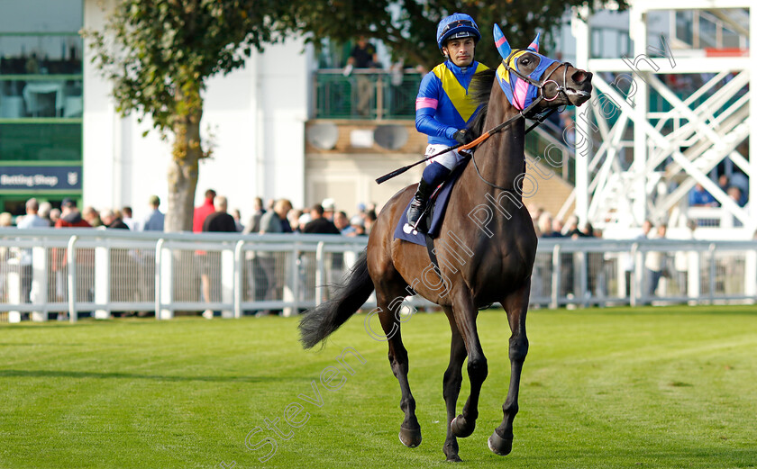 Sound-Angela-0005 
 SOUND ANGELA (Silvestre de Sousa) winner of The EBF Stallions John Musker Fillies Stakes
Yarmouth 18 Sep 2024 - Pic Steven Cargill / Racingfotos.com