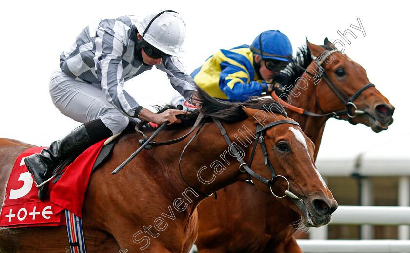 Japan-0006 
 JAPAN (Ryan Moore) wins The tote+ Pays You More At tote.co.uk Ormonde Stakes
Chester 6 May 2021 - Pic Steven Cargill / Racingfotos.com