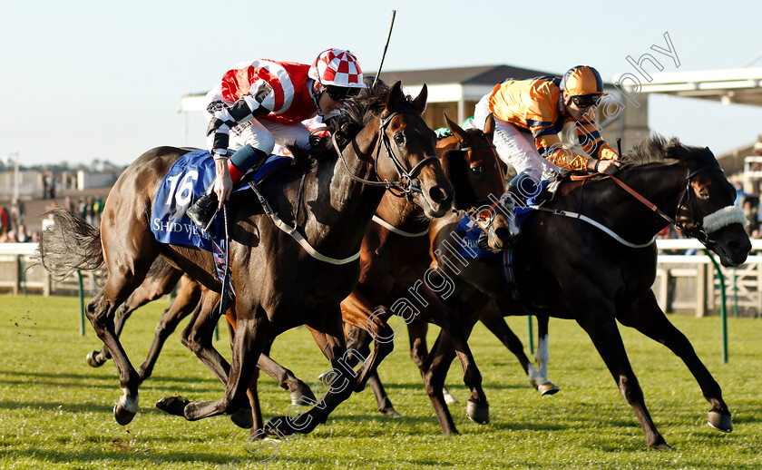 Jazeel-0003 
 JAZEEL (left, David Egan) wins The Shadwell Farm Handicap
Newmarket 28 Sep 2018 - Pic Steven Cargill / Racingfotos.com