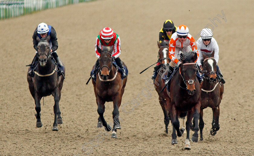 Elmejor-0005 
 ELMEJOR (Kieran O'Neill) wins The Betway Novice Stakes
Lingfield 2 Jan 2020 - Pic Steven Cargill / Racingfotos.com