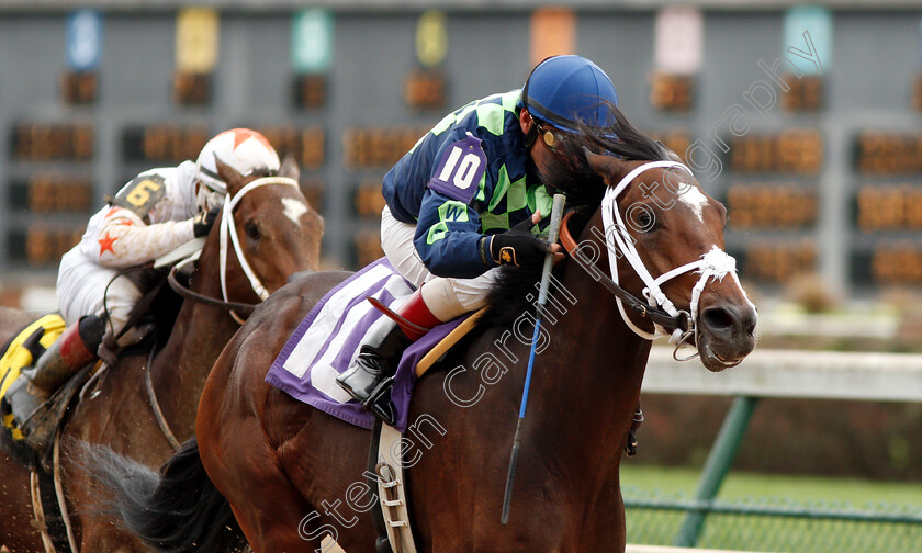 Jack-Van-Berg-0001 
 JACK VAN BERG (Jon Court) wins Maiden
Churchill Downs USA 2 Nov 2018 - Pic Steven Cargill / Racingfotos.com