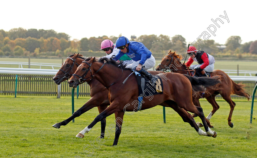 Regal-Honour-0005 
 REGAL HONOUR (William Buick) wins The Stephen Rowley Remembered Novice Stakes
Newmarket 19 Oct 2022 - Pic Steven Cargill / Racingfotos.com