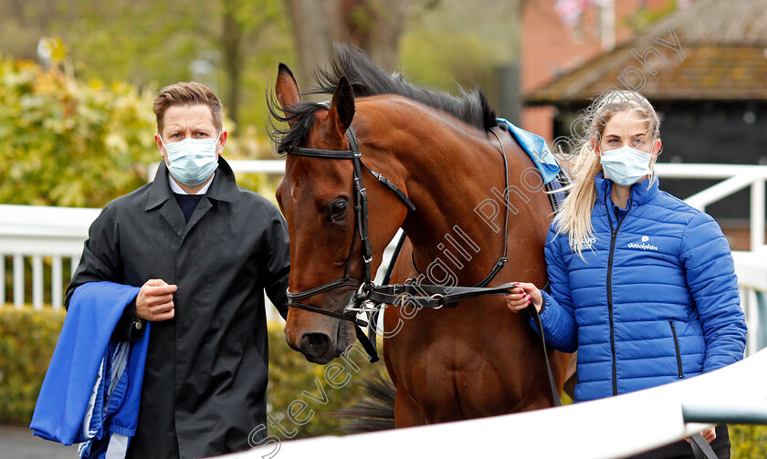 Nash-Nasha-0001 
 NASH NASHA 
Lingfield 8 May 2021 - Pic Steven Cargill / Racingfotos.com