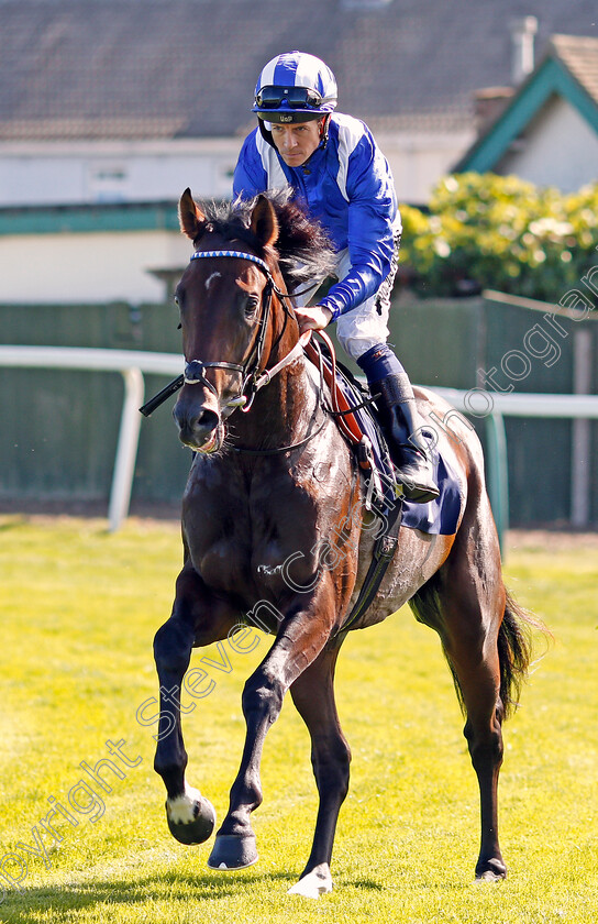 Maqtal-0001 
 MAQTAL (Jim Crowley) winner of The British Stallion Studs EBF Maiden Stakes
Yarmouth 18 Sep 2019 - Pic Steven Cargill / Racingfotos.com