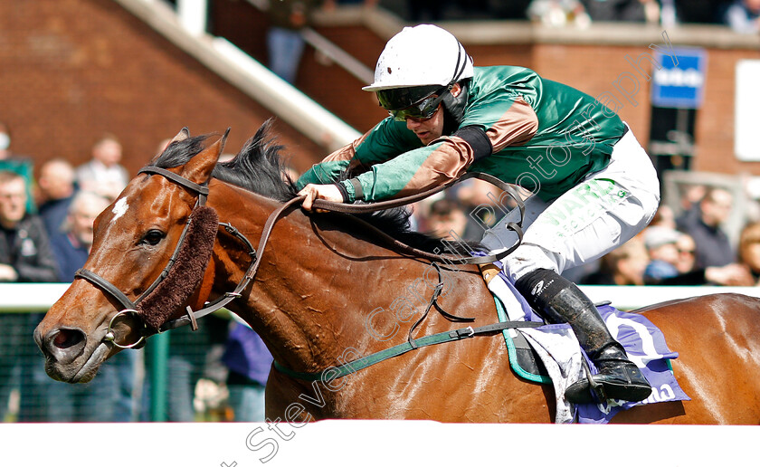 Frankenstella-0004 
 FRANKENSTELLA (Jason Hart) wins The Download The Casumo App Today Handicap
Haydock 22 May 2021 - Pic Steven Cargill / Racingfotos.com