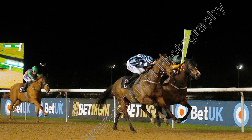 Bass-Player-0002 
 BASS PLAYER (Rossa Ryan) wins The Betmgm Handicap
Wolverhampton 20 Dec 2024 - Pic Steven Cargill / Racingfotos.com