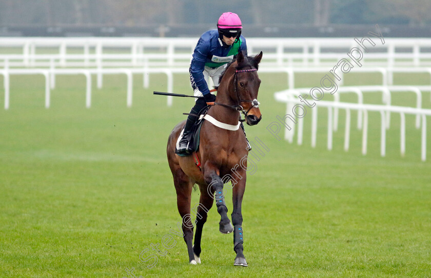 St-Pancras-0002 
 ST PANCRAS (Kevin Brogan)
Ascot 18 Jan 2025 - Pic Steven Cargill / Racingfotos.com