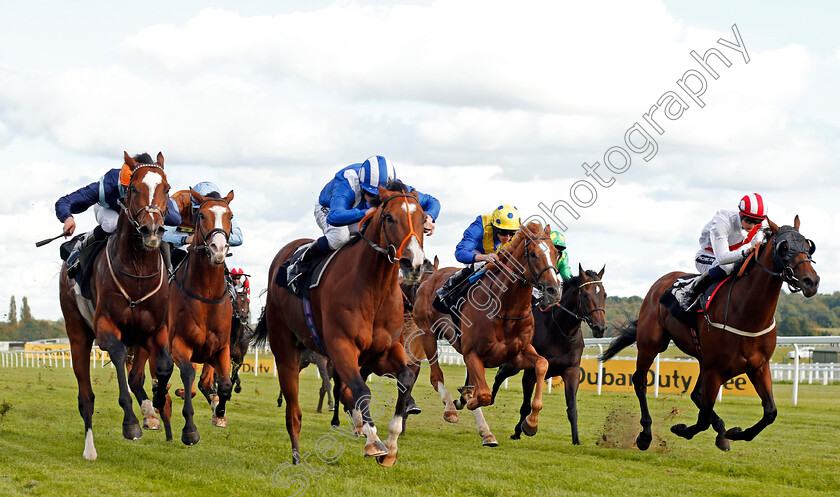 Tabarrak-0002 
 TABARRAK (centre, Jim Crowley) beats ACCIDENTAL AGENT (left) DREAM OF DREAMS (2nd right) and URBAN FOX (right) in The Dubai Duty Free Tennis Championships Cup Stakes Newbury 22 Sep 2017 - Pic Steven Cargill / Racingfotos.com