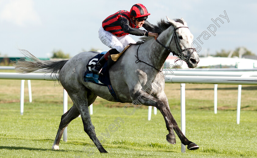 Lady-Bergamot-0004 
 LADY BERGAMOT (George Wood) wins The EBF Breeders Series Fillies Handicap
Doncaster 12 Sep 2018 - Pic Steven Cargill / Racingfotos.com