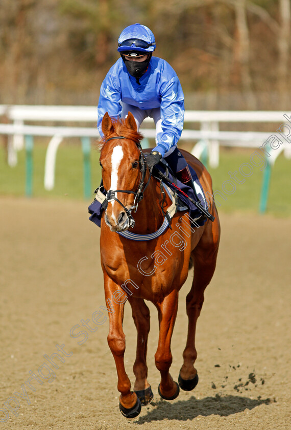 Poetic-Force-0001 
 POETIC FORCE (Elisha Whittington)
Lingfield 27 Feb 2021 - Pic Steven Cargill / Racingfotos.com