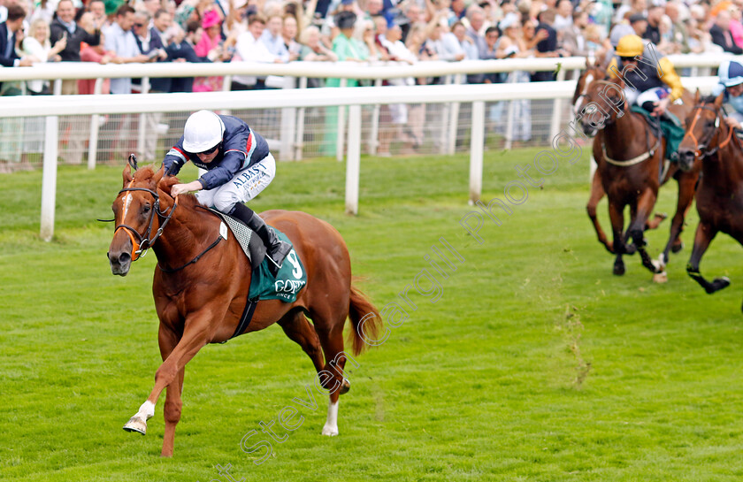 Dragon-Leader-0003 
 DRAGON LEADER (Ryan Moore) wins The Goffs UK Harry Beeby Premier Yearling Stakes
York 24 Aug 2023 - Pic Steven Cargill / Racingfotos.com