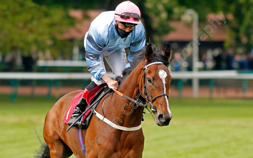 Eileendover-0003 
 EILEENDOVER (Shane Kelly)
Haydock 28 May 2021 - Pic Steven Cargill / Racingfotos.com