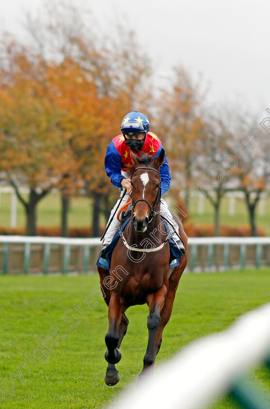 Coul-Queen-0001 
 COUL QUEEN (Harry Bentley)
Newmarket 31 Oct 2020 - Pic Steven Cargill / Racingfotos.com