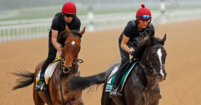 Auguste-Rodin-0004 
 AUGUSTE RODIN training for the Sheema Classic
Meydan Dubai 26 Mar 2024 - Pic Steven Cargill / Racingfotos.com