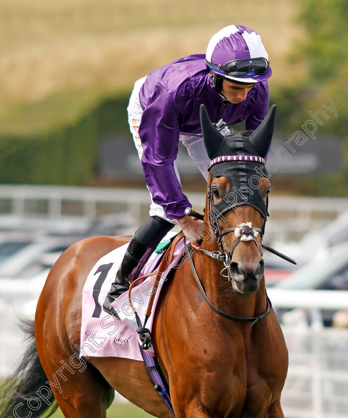 Hello-You 
 HELLO YOU (Rossa Ryan)
Goodwood 27 Jul 2022 - Pic Steven Cargill / Racingfotos.com