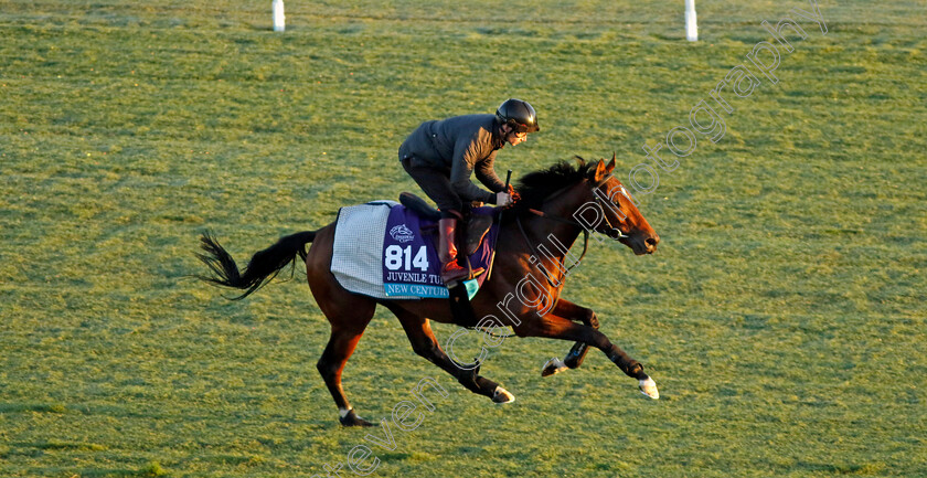 New-Century-0001 
 NEW CENTURY (Oisin Murphy) training for the Breeders' Cup Juvenile Turf
Del Mar USA 30 Oct 2024 - Pic Steven Cargill / Racingfotos.com