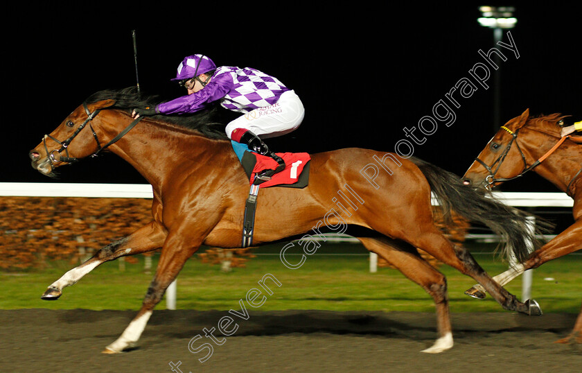 Godhead-0004 
 GODHEAD (Oisin Murphy) wins The 32Red Casino Novice Stakes
Kempton 17 Feb 2020 - Pic Steven Cargill / Racingfotos.com